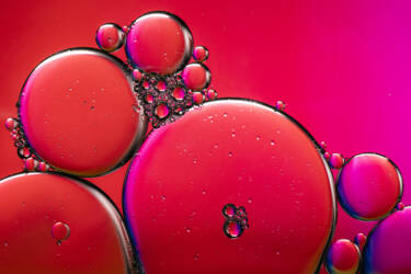 Ross Hoddinott |  Nikon magazine